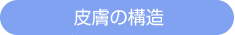 畆̍\