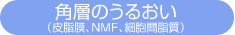 pŵ邨
