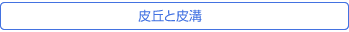 玉