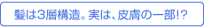 ͂Rw\B́A畆̈ꕔ!?